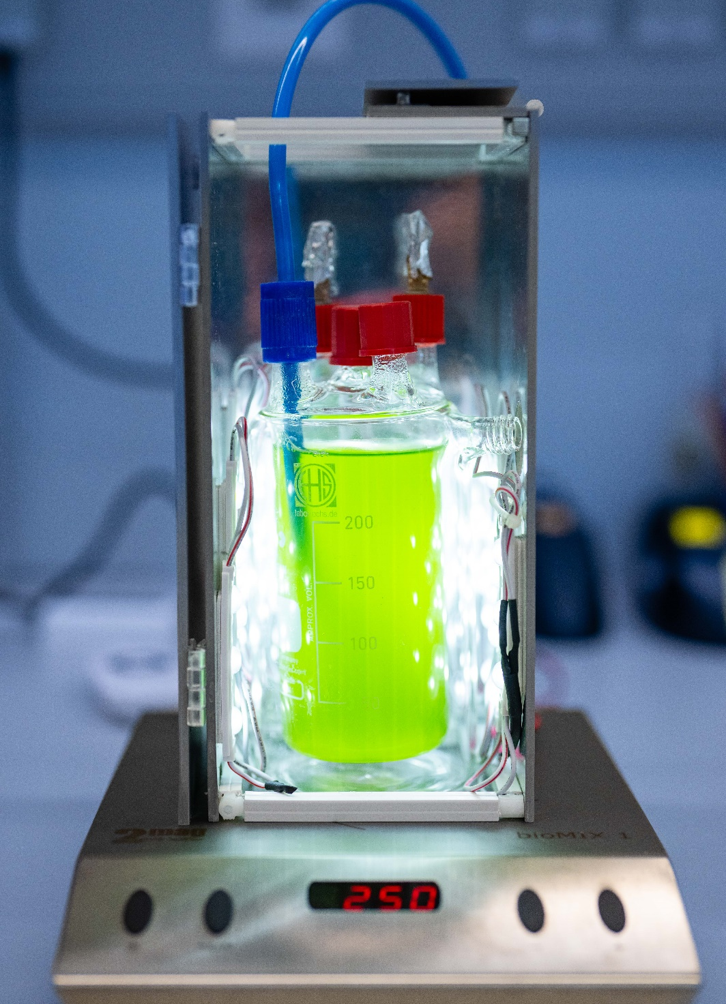 Photobioreaktor des Fraunhofer FEP im Labormaßstab zur Kultivierung von Cyanobakterien unter definierten Licht-, Temperatur- und Gasbedingungen