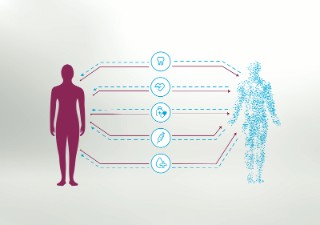 A digital patient twin can simulate physiological processes taking place inside the human body.